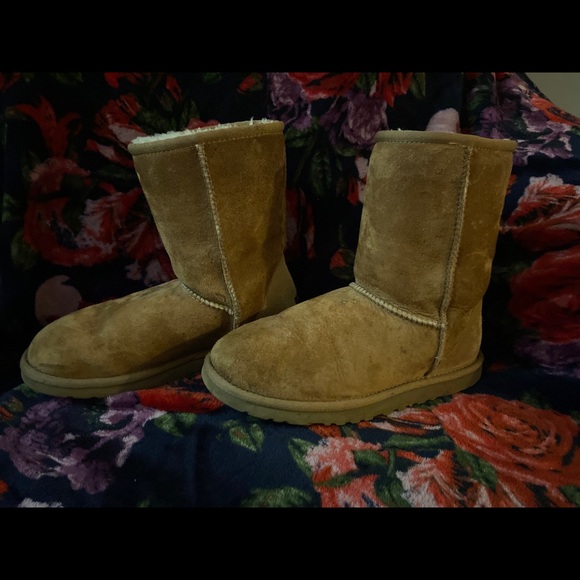 UGG Classic Short Boots 🛑SOLD🛑 - Picture 3 of 5
